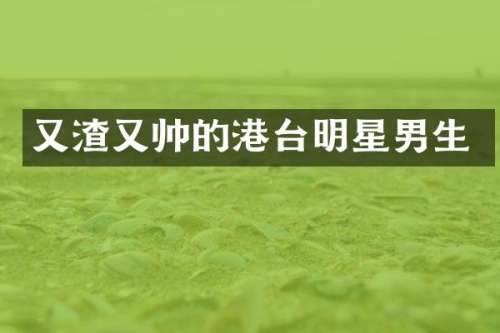 又渣又帅的港台明星男生