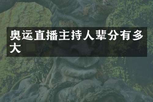 奥运直播主持人辈分有多大