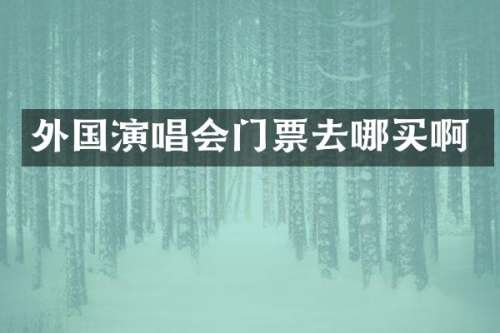 外国演唱会门票去哪买啊