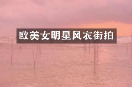 欧明星风衣街拍
