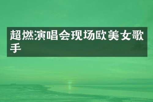 超燃演唱会现场欧歌手