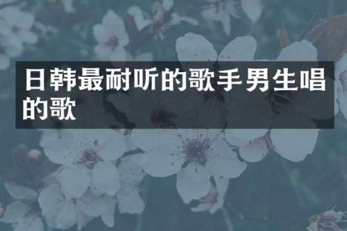 日韩最耐听的歌手男生唱的歌