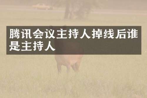 腾讯会议主持人掉线后谁是主持人