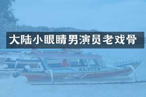 大陆小眼睛男演员老戏骨