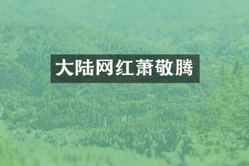 大陆网红萧敬腾