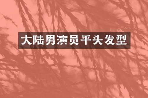 大陆男演员平头发型