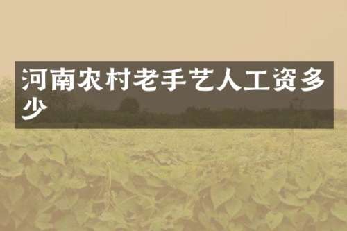 河南农村老手艺人工资多少