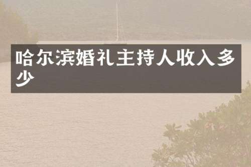 哈尔滨婚礼主持人收入多少