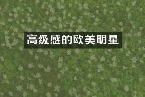 高级感的欧美明星