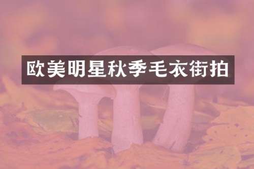 欧美明星秋季毛衣街拍