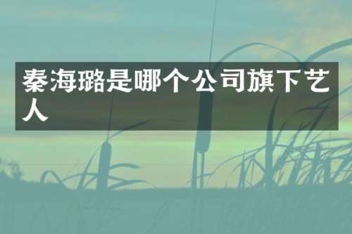 秦海璐是哪个公司旗下艺人