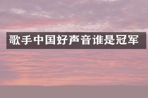 歌手中国好声音谁是冠军