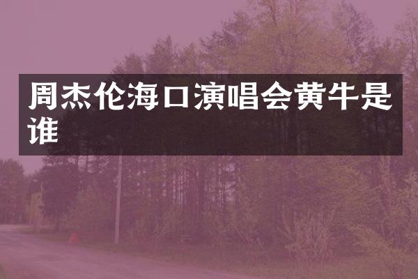 周杰伦海口演唱会黄牛是谁