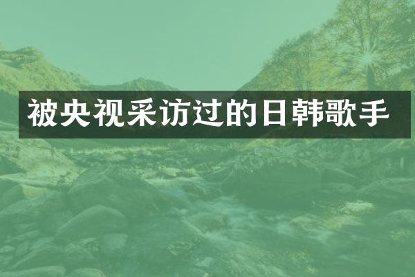 被央视采访过的日韩歌手