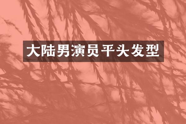 大陆男演员平头发型