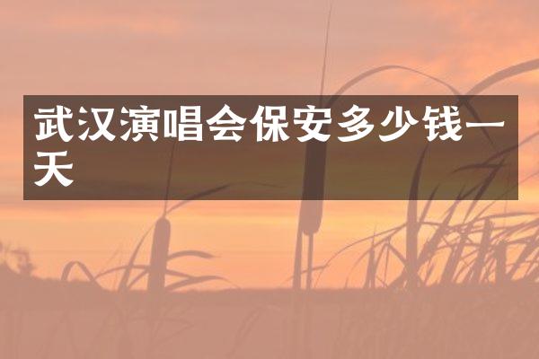 武汉演唱会保安多少钱一天