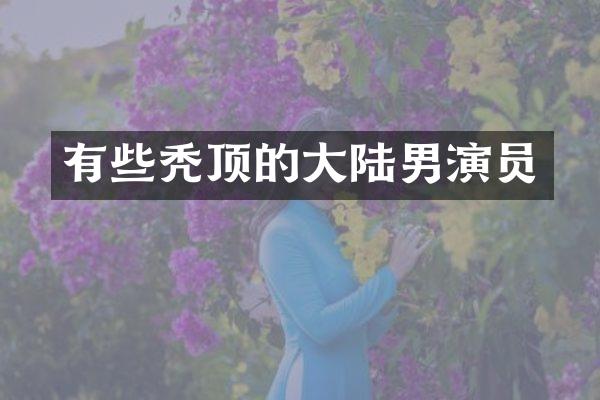 有些秃顶的大陆男演员