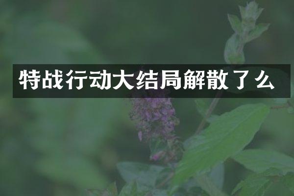 特战行动大结局解散了么