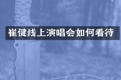 崔健线上演唱会如何看待