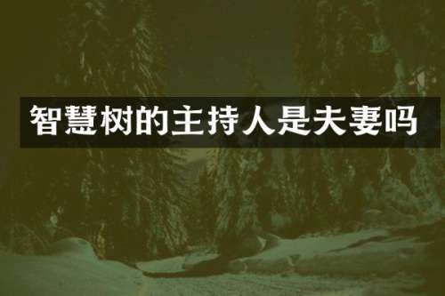 智慧树的主持人是夫妻吗