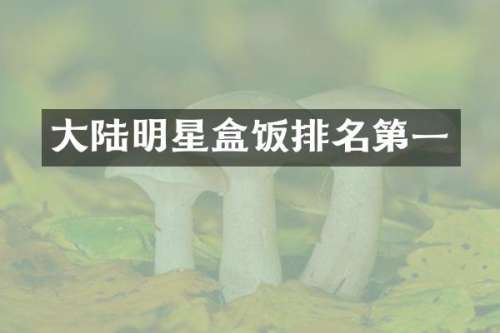 大陆明星盒饭排名第一