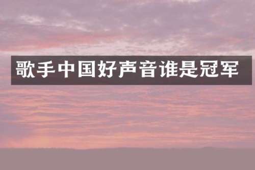 歌手中国好声音谁是冠军