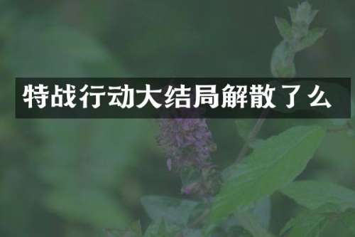 特战行动大结局解散了么