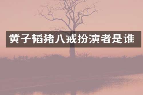 黄子韬猪八戒扮演者是谁