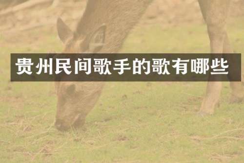 贵州民间歌手的歌有哪些
