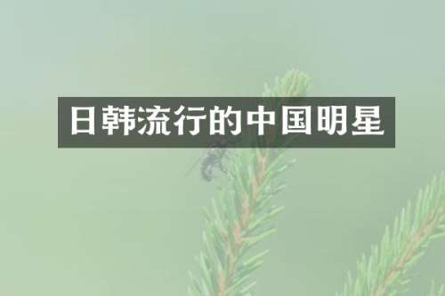 日韩流行的中国明星