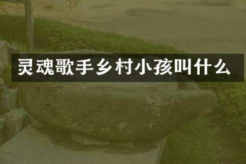 灵魂歌手乡村小孩叫什么