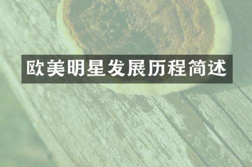 欧美明星发展历程简述