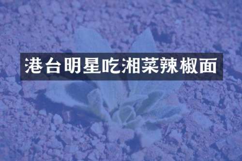 港台明星吃湘菜辣椒面