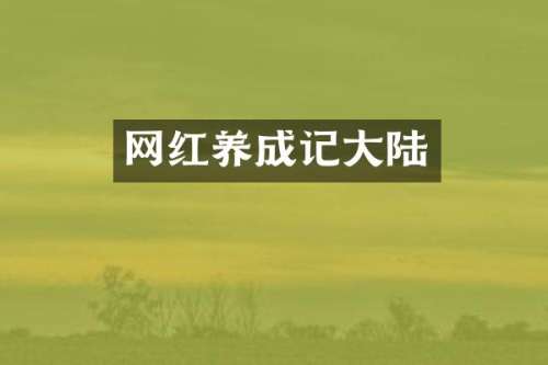 网红养成记大陆
