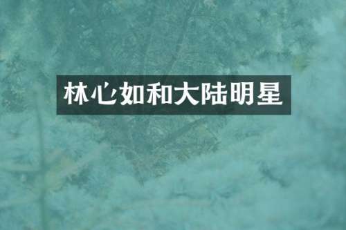 林心如和大陆明星