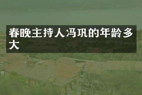 主持人冯巩的年龄多大