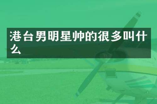 港台男明星帅的很多叫什么