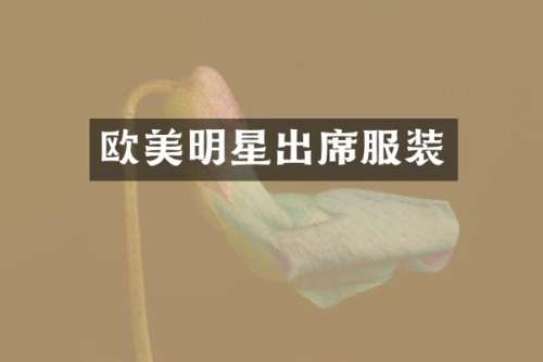 欧美明星出席服装