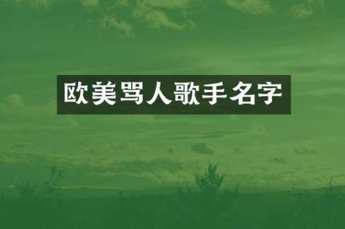 欧美骂人歌手名字