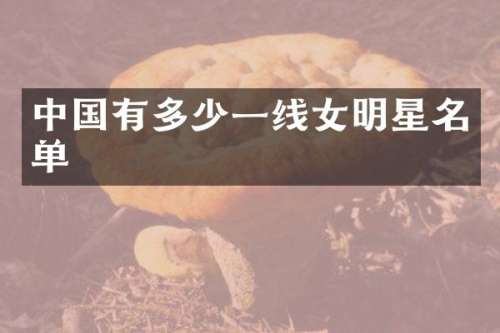 中国有多少一线女明星名单