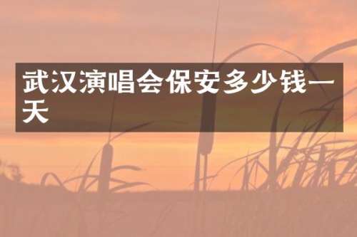 武汉演唱会保安多少钱一天