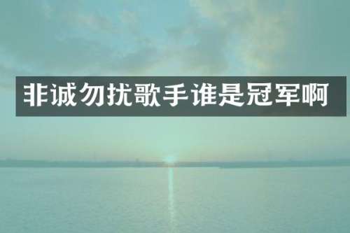 非诚勿扰歌手谁是冠军啊