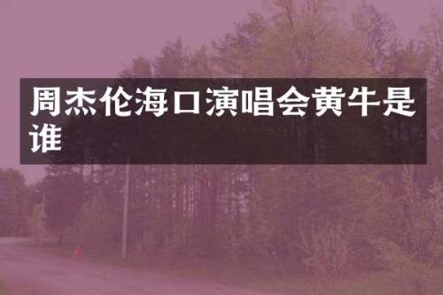 周杰伦海口演唱会黄牛是谁