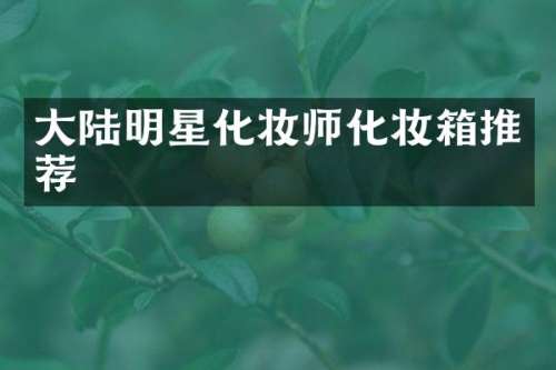 大陆明星化妆师化妆箱推荐