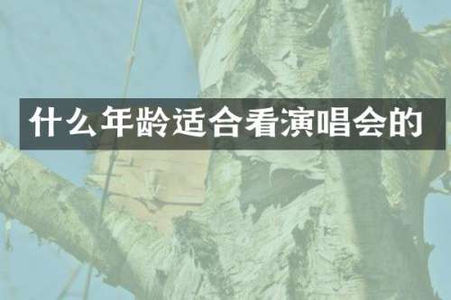 什么年龄适合看演唱会的