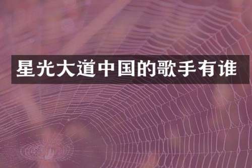 星光大道中国的歌手有谁