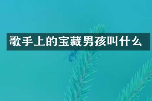 歌手上的宝藏男孩叫什么