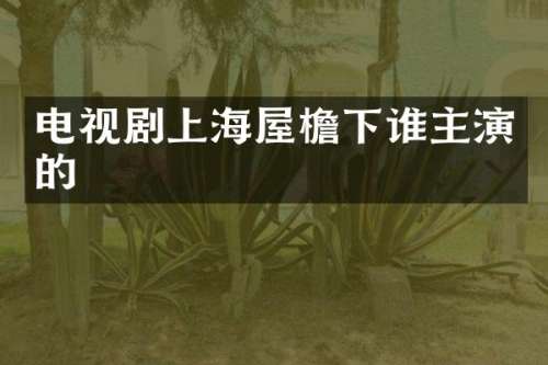 电视剧上海屋檐下谁主演的