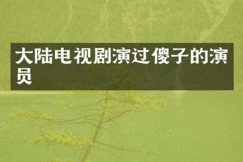 大陆电视剧演过傻子的演员