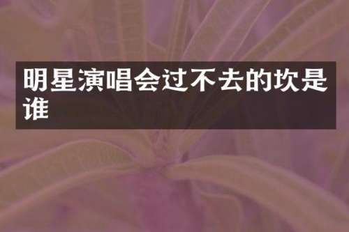 明星演唱会过不去的坎是谁
